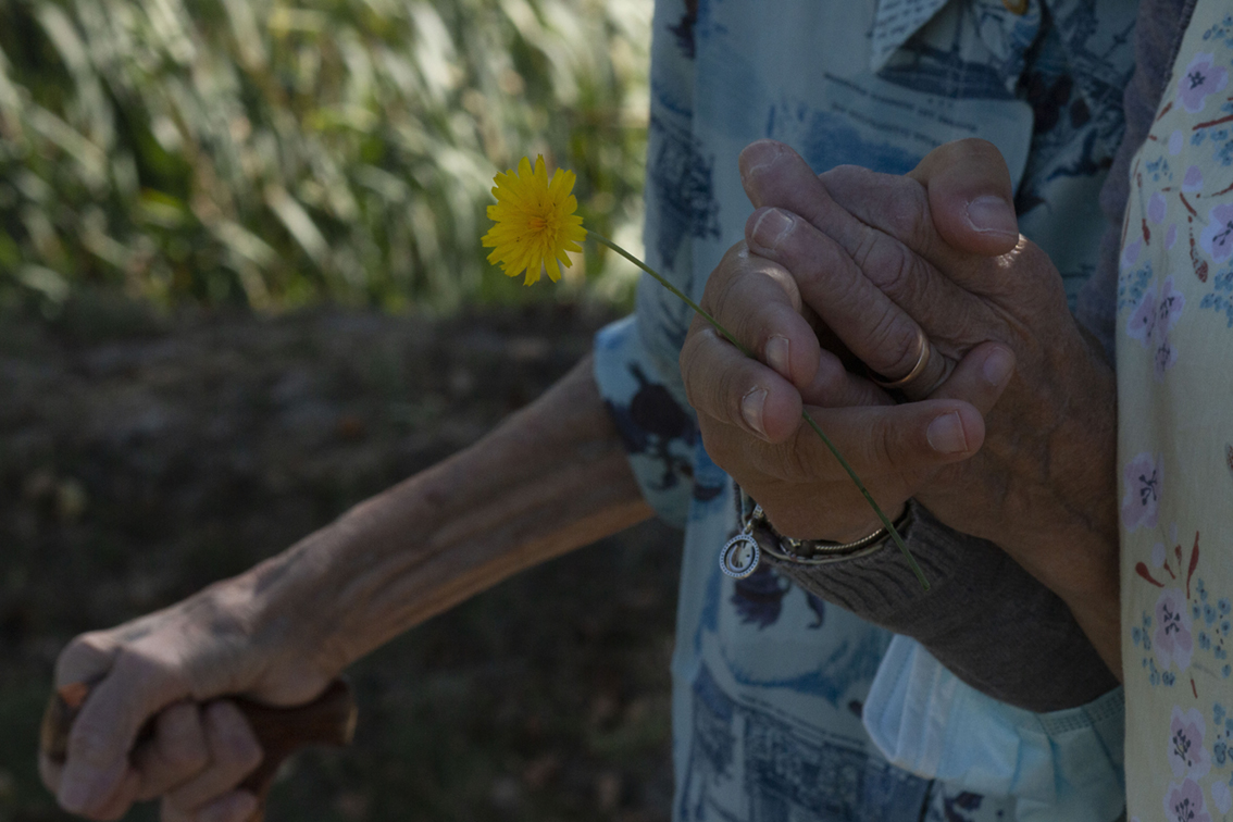 Read more about the article Afeto e a mudança que provoca